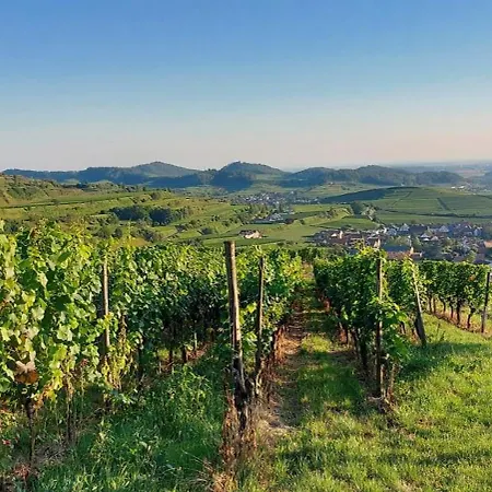 Vino9 * Vogtsburg