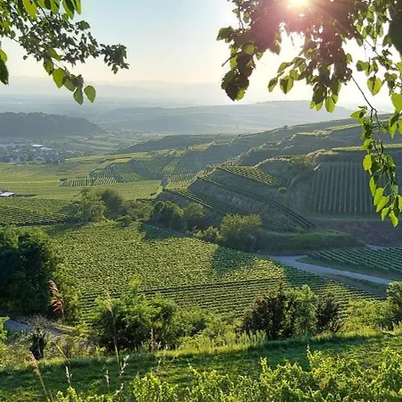 Apartment Vino9 Vogtsburg