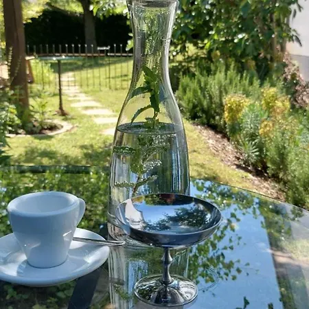 Vino9 Vogtsburg